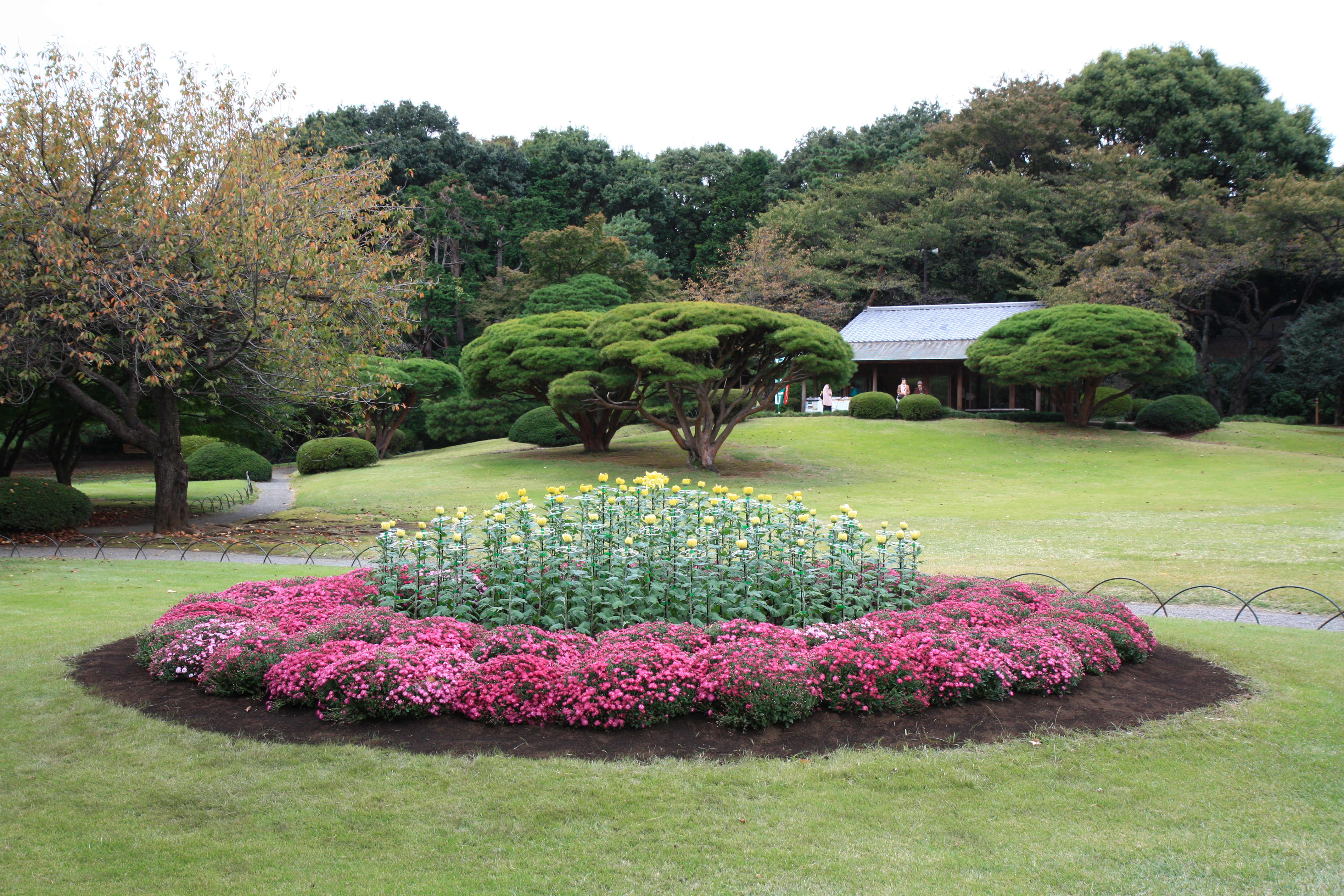Japan